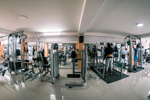 FOX GYM