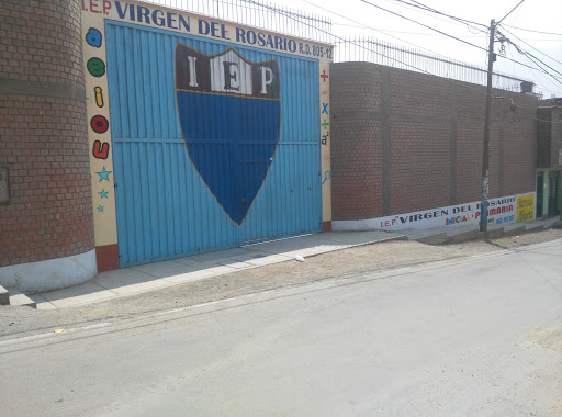 IEP 