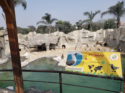 Parque de las Leyendas Sede Huachipa