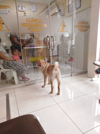 Clínica Veterinaria 