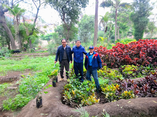 Vivero Forestal El Bosque