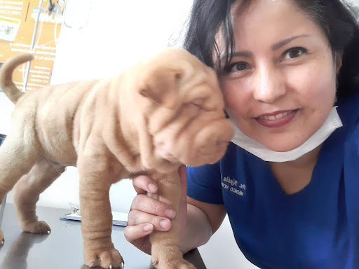 Clínica Veterinaria Dog.Thor