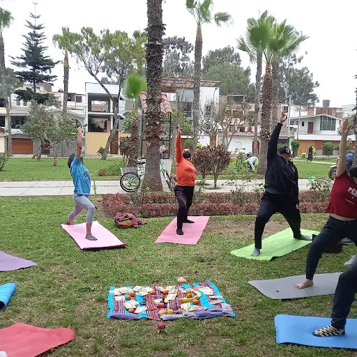 Escuela de Bienestar Bio-Yoga