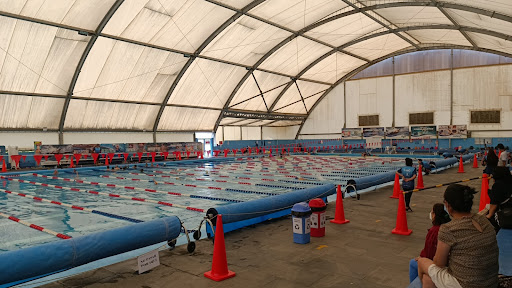 Escuelas Deportivas