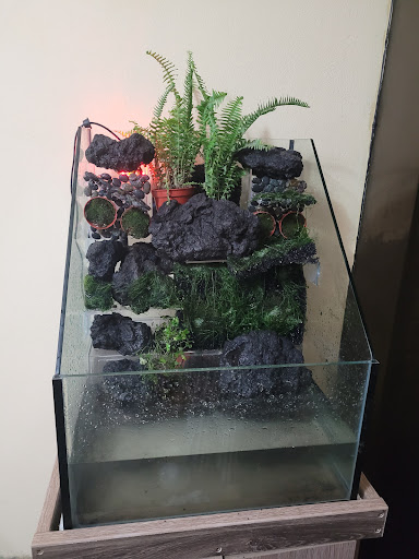 Acuario Aquatic FEEL
