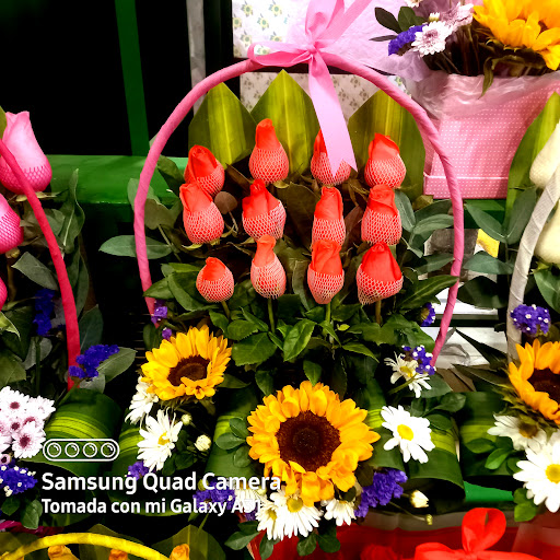 FLORERIAS LUISA DELIVERY
