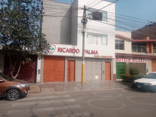 Colegio Ricardo Palma