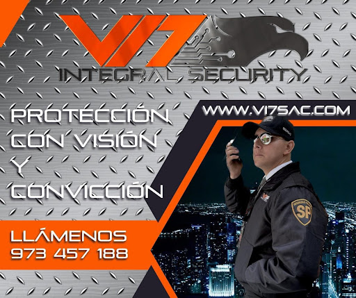 VI7 - VIGILANCIA INTEGRAL 7