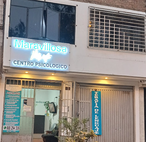 Centro Psicologico Maravillosamente