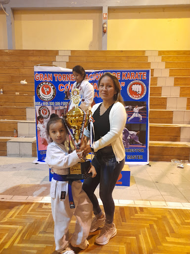 ACADEMIA DE KARATE JONETSY RYU