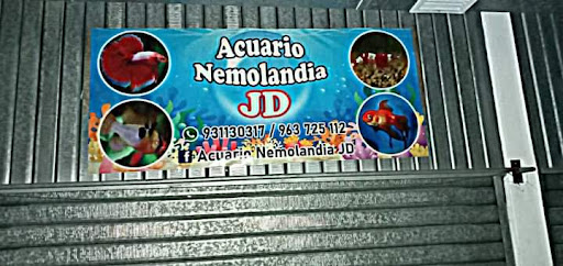 Acuario Nemolandia JD