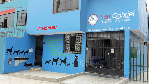 Clinica Veterinaria San Gabriel