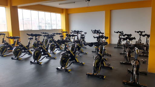 GIMNASIO MATRIX GYM CLUB
