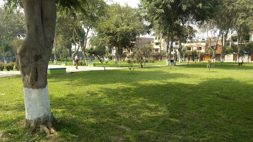 Parque Los Ficus