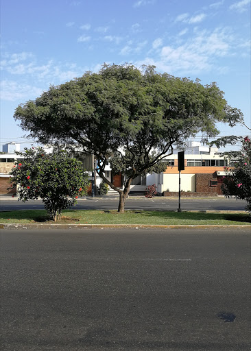 TBS del Perú