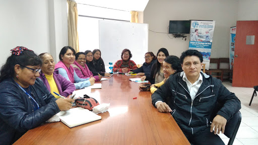 CENTRO EMERGENCIA MUJER DE HUAYCAN