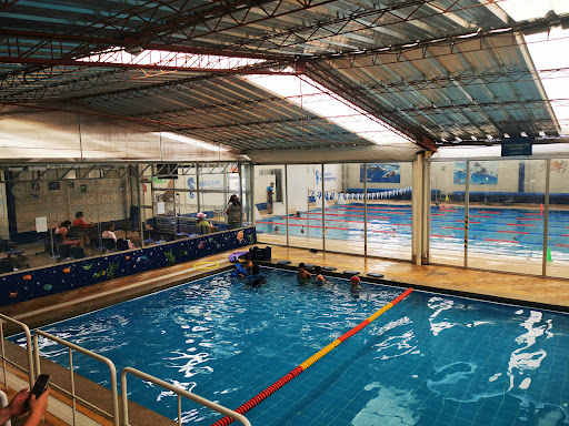 Natación Monterrico