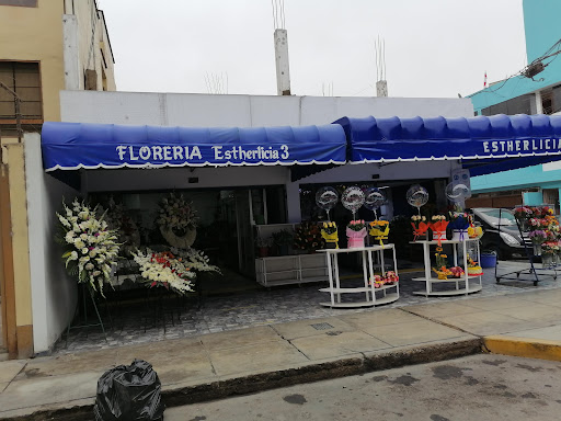 Estherlicia Floreria