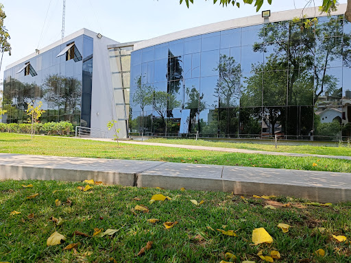 Instituto de Matemática y Ciencias Afines