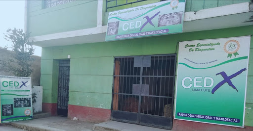 CEDX