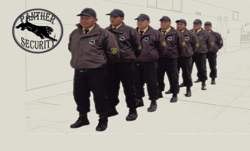 PANTHER SECURITY