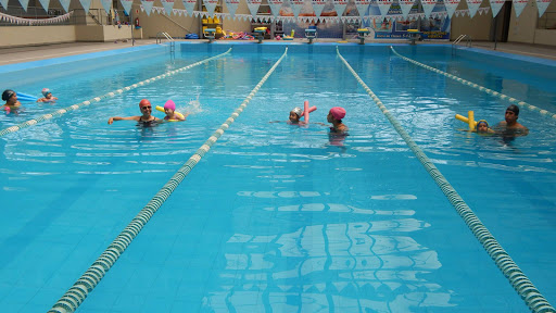 Club de Natación AquaXtreme-Molina