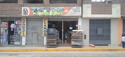 Oveja Negra Alimentos Balanceados